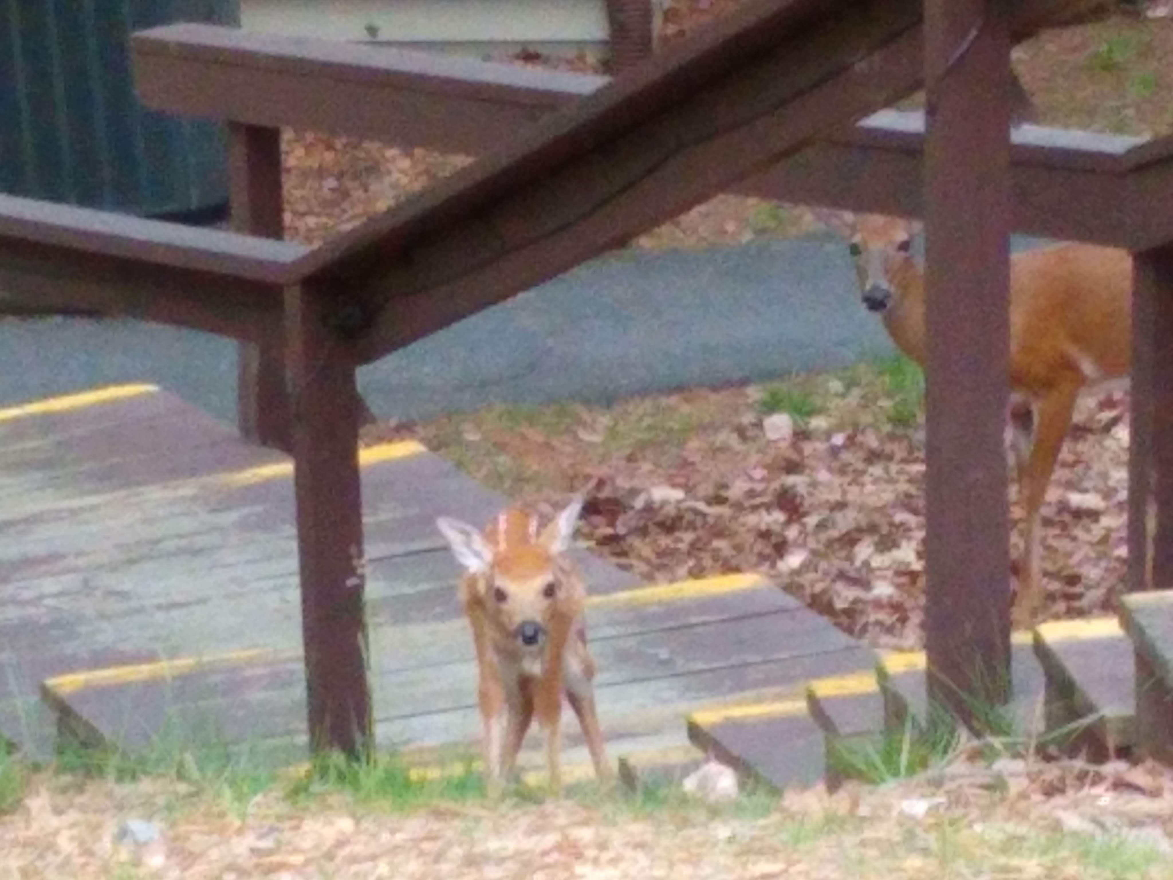 Loading Resort Image...